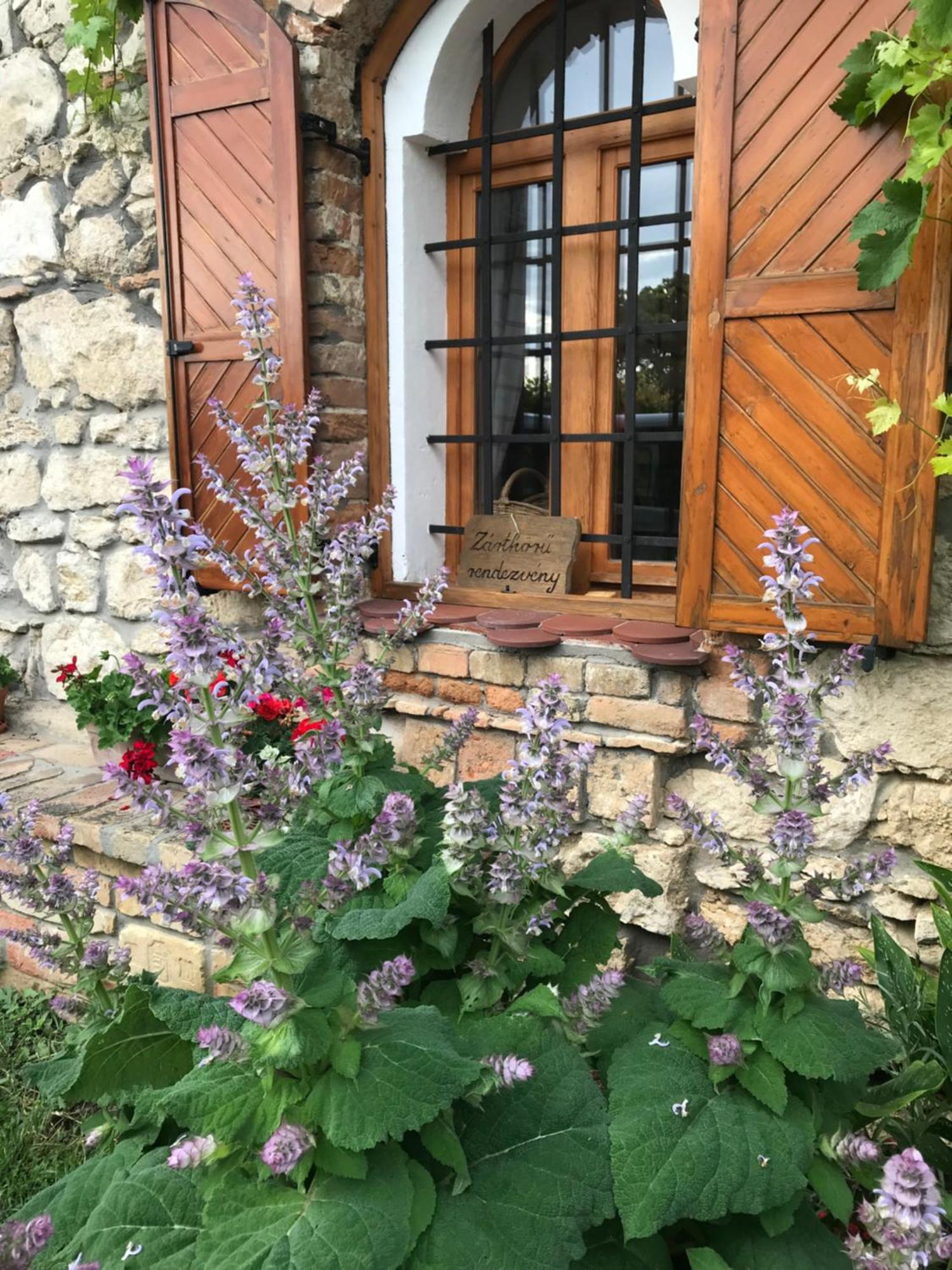 Cifrapince és Vendégház Tordas Exterior foto